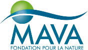 Mava Fondation